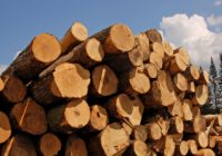 Особенности бруса из лиственницы