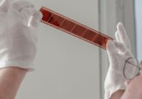 Трейлер фильма Певчая птица: что ожидать от картины Трейлер фильма Певчая птица: что ожидать от картины