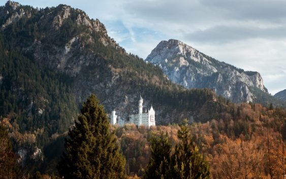 Том Хэнкс и его грейхаунд: история дружбы