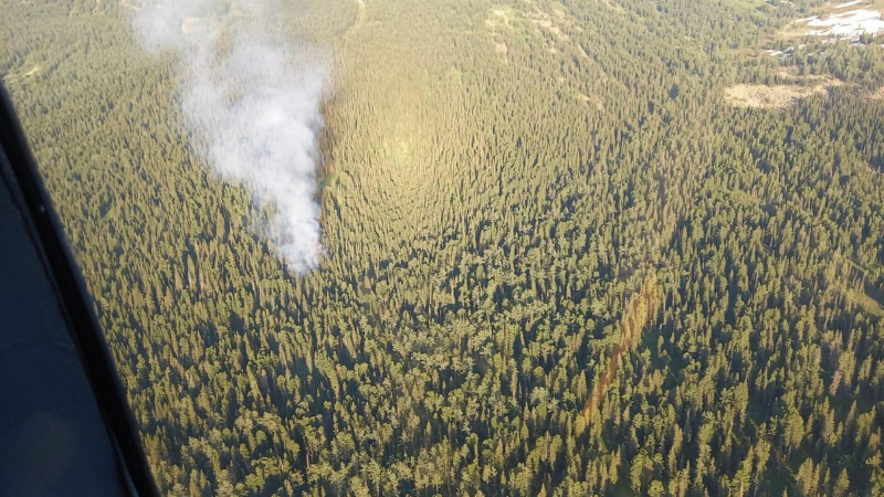 В Костанайской области предотвратили большой лесной пожар